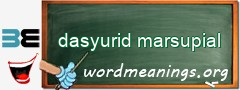WordMeaning blackboard for dasyurid marsupial